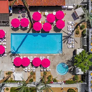 The Paloma Hotel